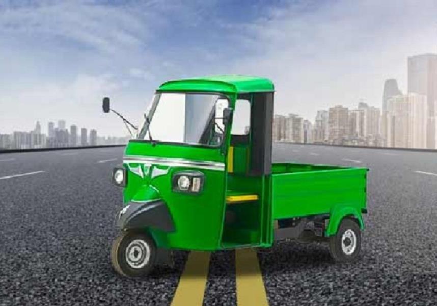 E Trio Touro Mini Cargo LI