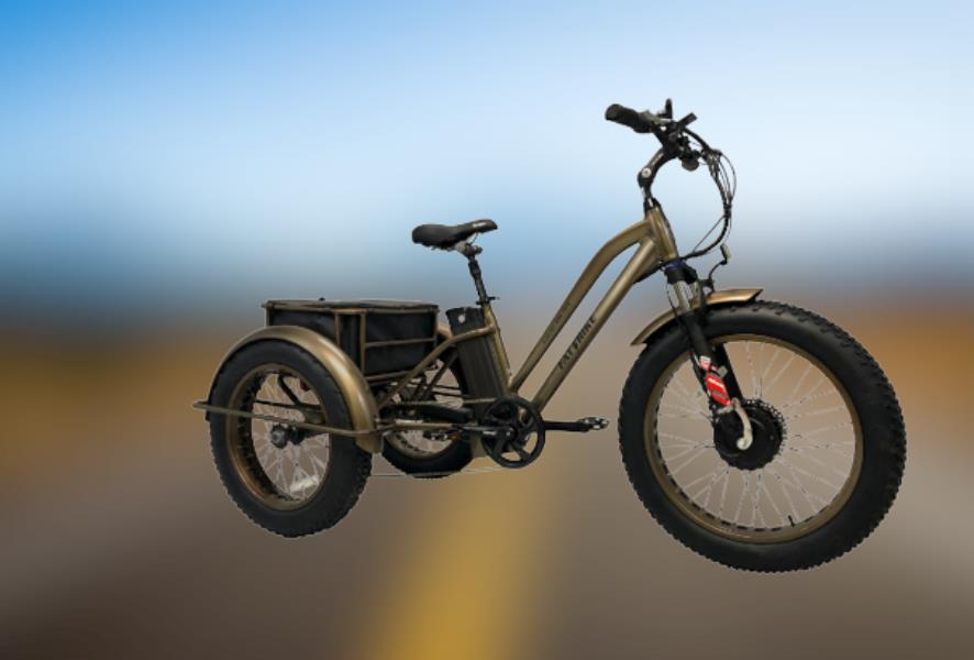 Pi E Trike 3 Wheelers