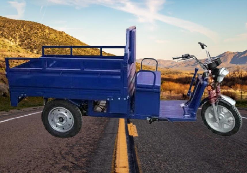Shakti Auto Green Loader