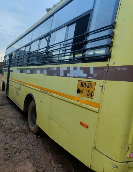 Ashok Leyland Lynx Strong image 2