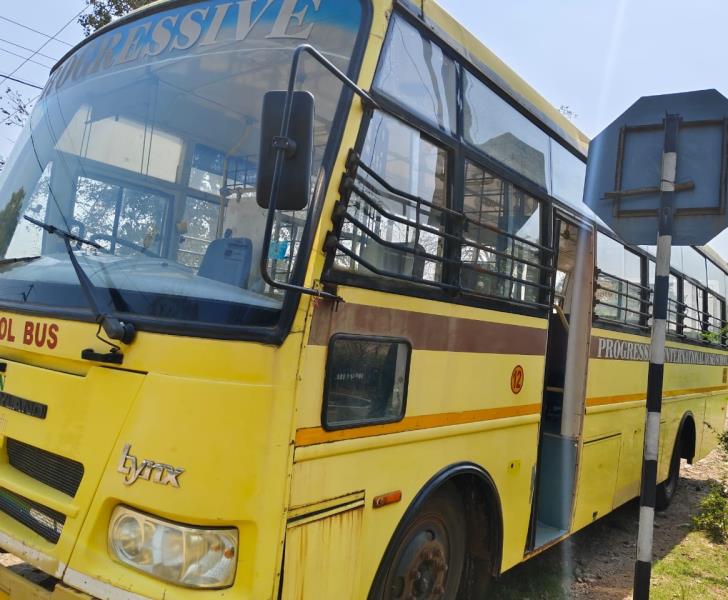Ashok Leyland Lynx Strong image 2