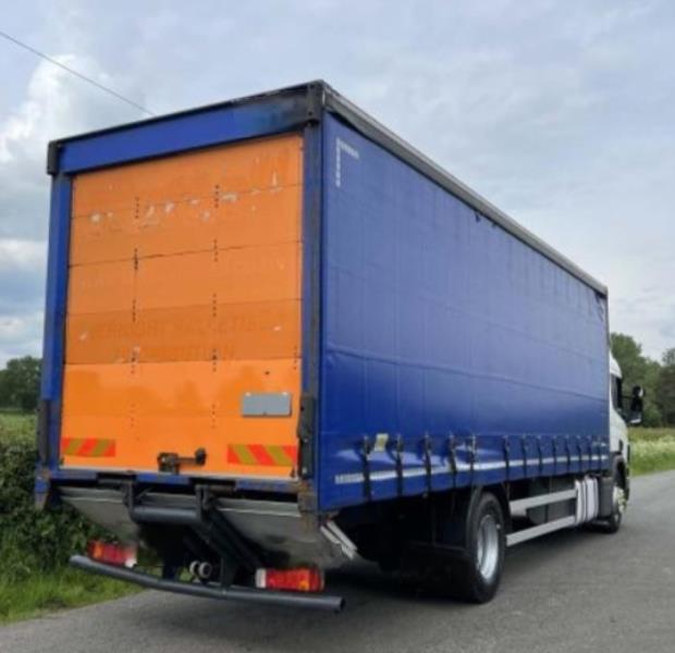 SCANIA P360 image 4
