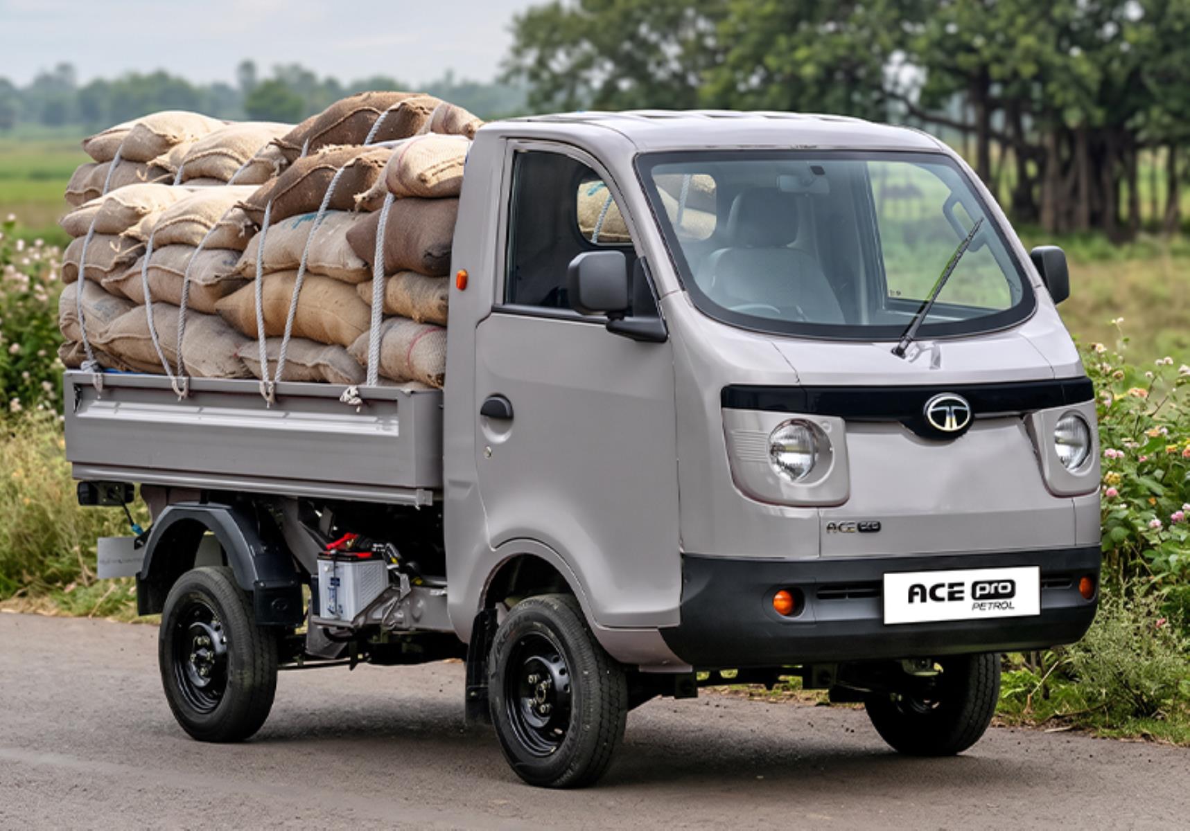 Tata Ace Pro Petrol Small Vehicles