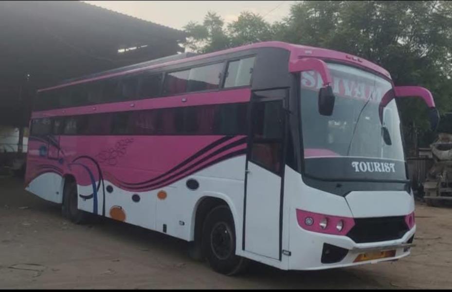 Ashok Leyland Viking image 2