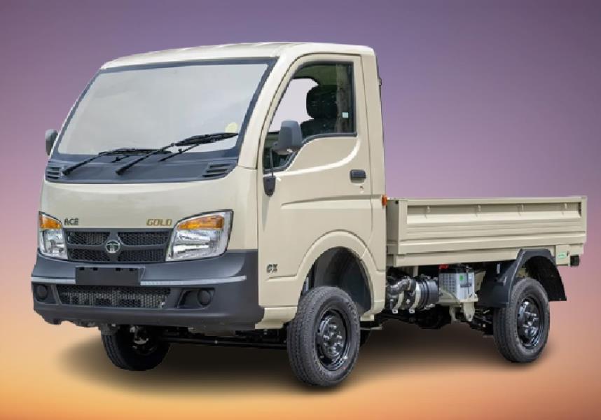 Tata Ace Gold Petrol LX