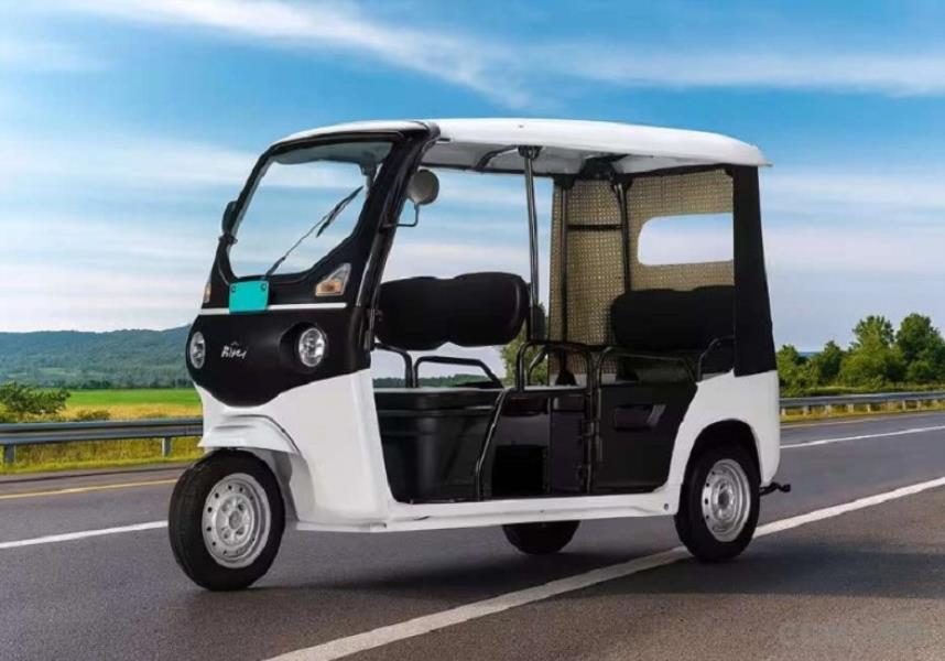Bajaj Riki P4005 Auto photo 1