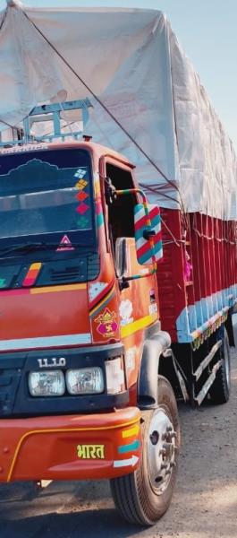 Eicher 1110 image 2