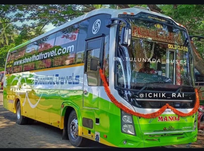 Ashok Leyland Viking image 2