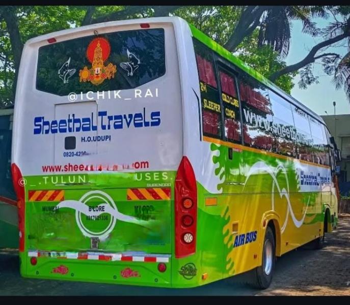 Ashok Leyland Viking image 4