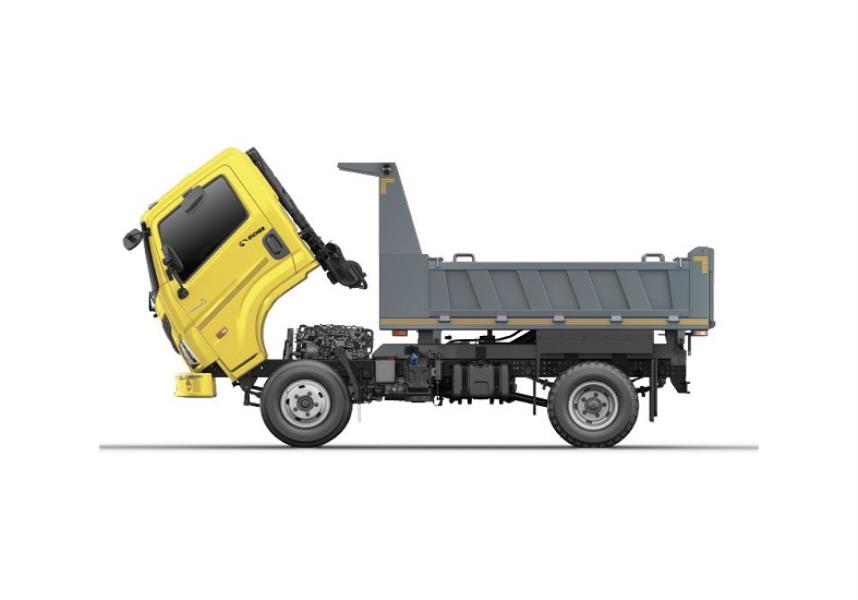 Eicher Pro 2055 DSD Trucks