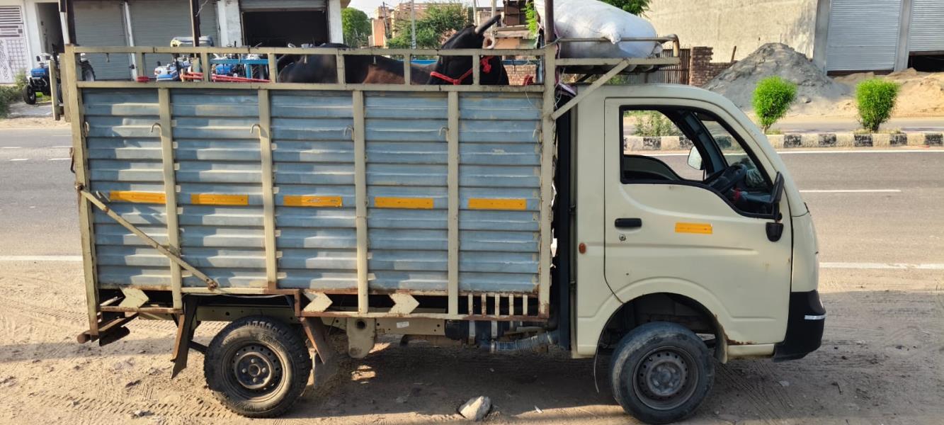 Tata Ace image 2