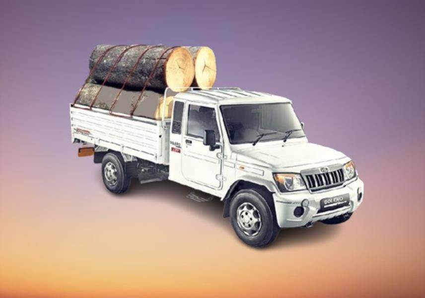 Mahindra Bolero Pik Up Extra Long 1.25T Small Vehicles
