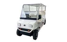 Saarthi Golf Cart