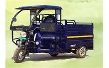 BVR E-Cart Champion
