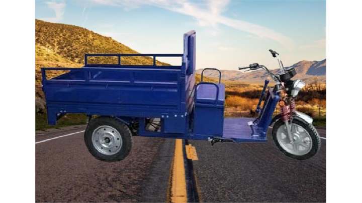 Shakti Auto Green Loader 3 Wheeler