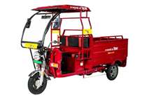 Avon E-Kart 207