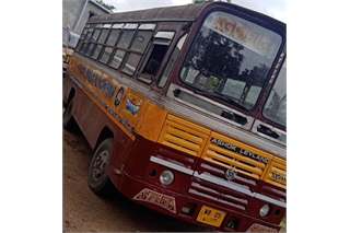 Ashok Leyland Lynx Strong