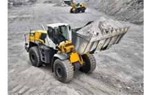 Liebherr L 580